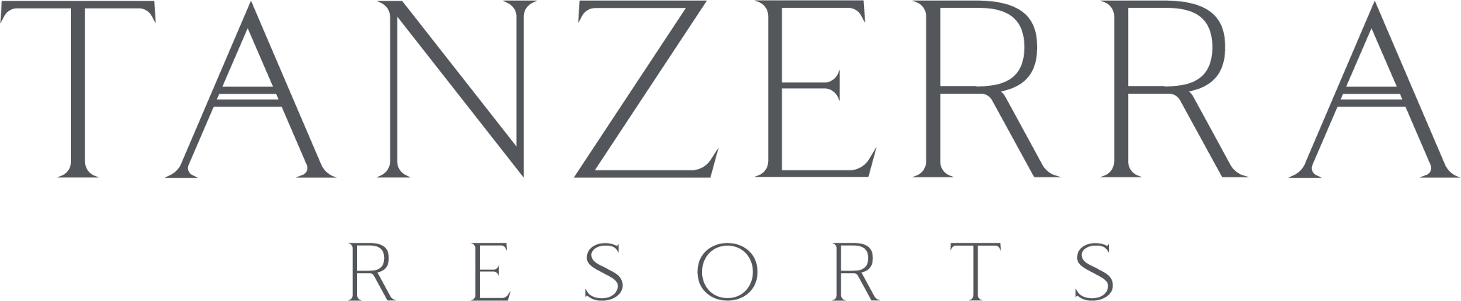 Tanzerra logo - gray